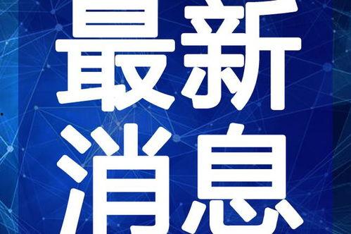 银川矿大爆料事件视频最新,真相与争议交织